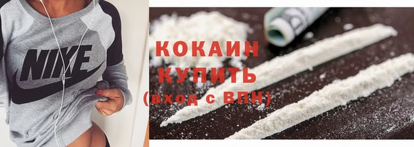 мдпв Новозыбков