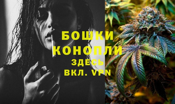 мдпв Новозыбков