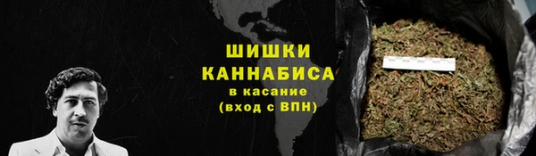 мдпв Новозыбков