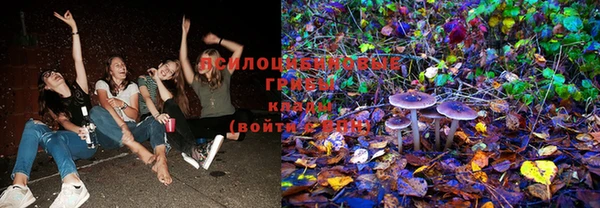 мдпв Новозыбков