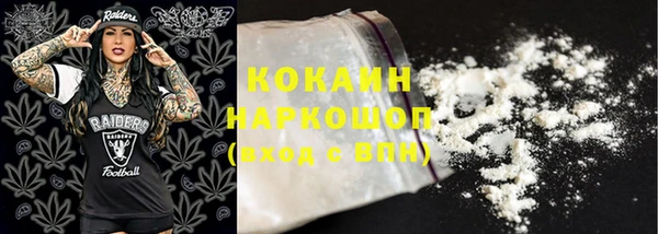 мдпв Новозыбков