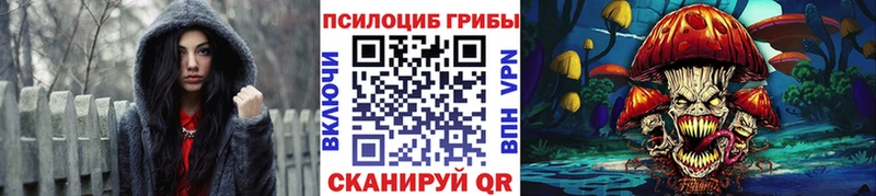 где купить наркотик  Калязин  Галлюциногенные грибы Cubensis 